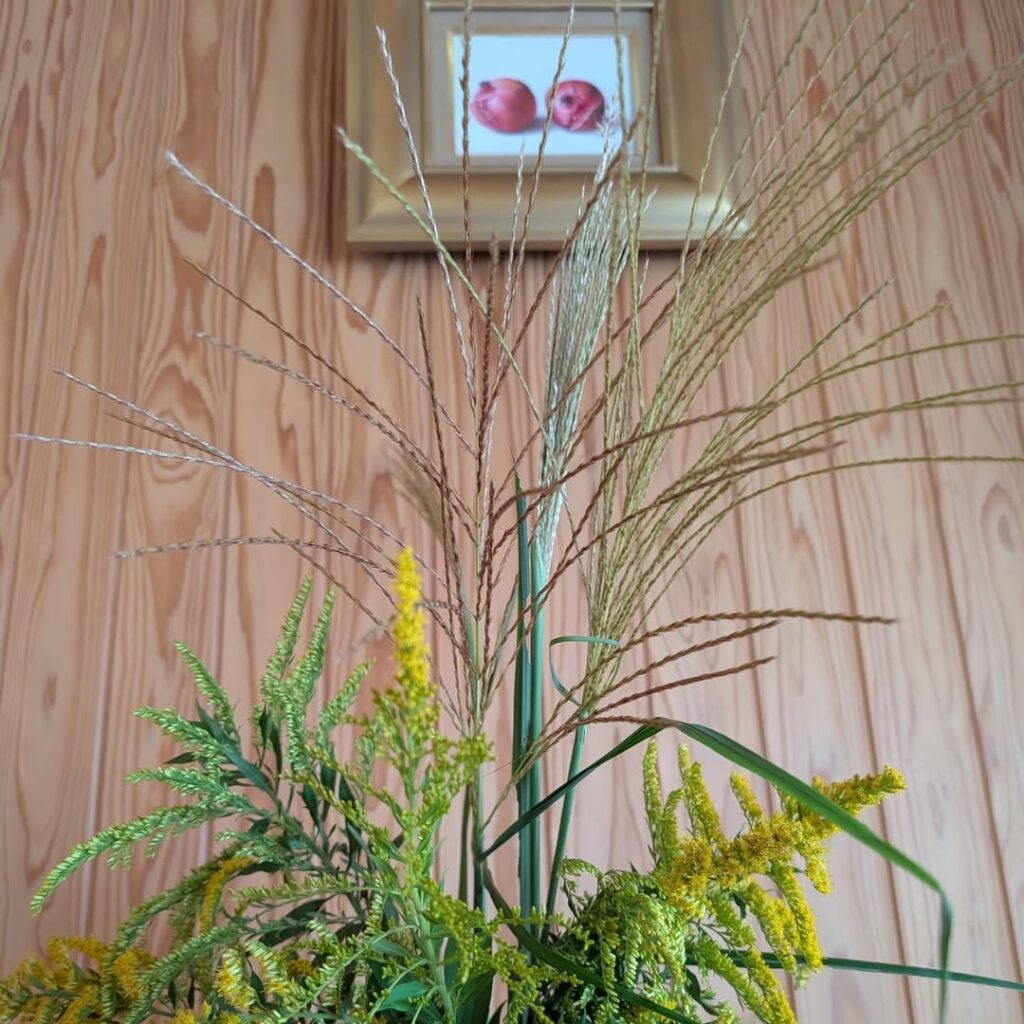 ホリスティックタッチ